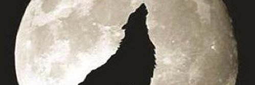 sultan33252's profile banner image