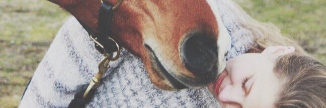 tealikestack's profile banner image