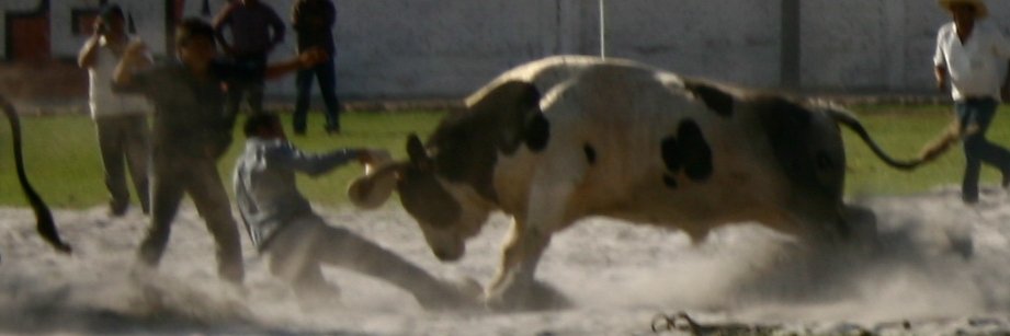 buck_er's profile banner image