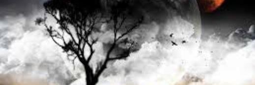 dion_murphy's profile banner image