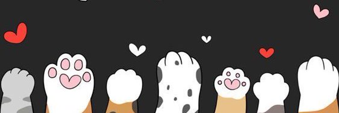 william3231's profile banner image