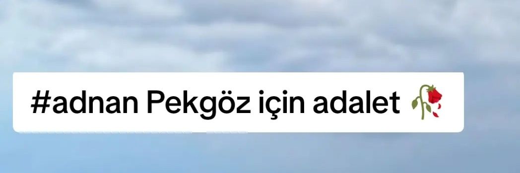 Narin Pekgöz's banner