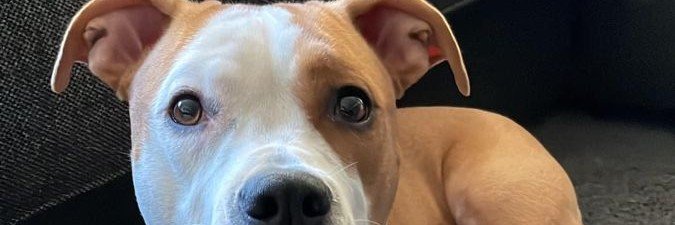 hannah_werner19's profile banner image