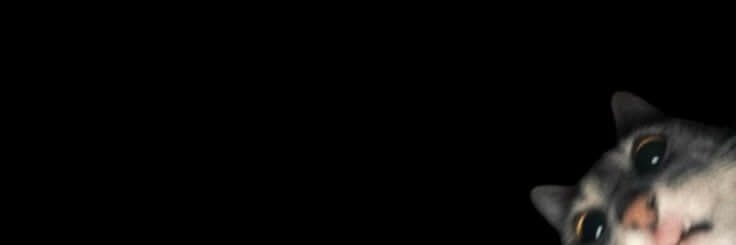 wtf5en's profile banner image