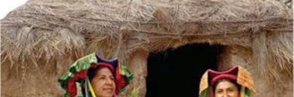 kote1964's profile banner image
