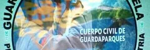 Humbertozanotty banner