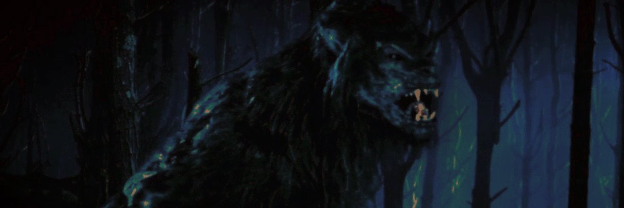 lethalPrtector's profile banner image