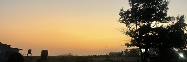 sunsettingonsea Profile Banner