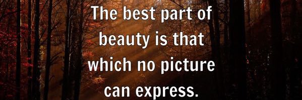 Amarachi 🦋 banner