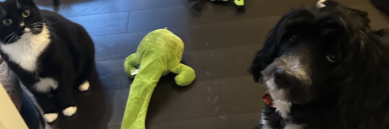 letsgetfood's profile banner image