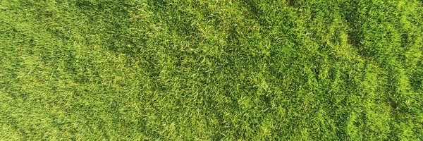 RainerLeurs Profile Banner