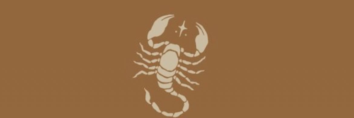 riveraliadney's profile banner image