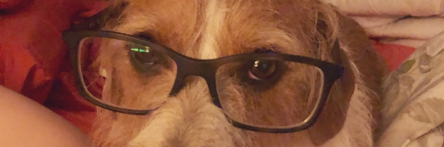 rodcone's profile banner image
