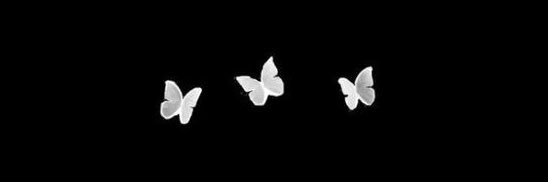 Lo_Le7's profile banner image