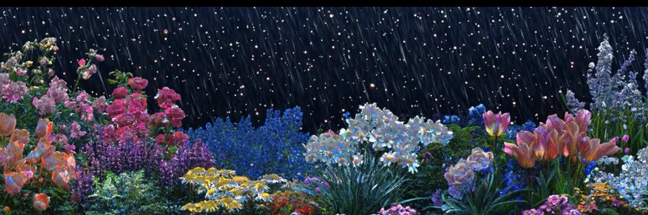 HanoufWS's profile banner image