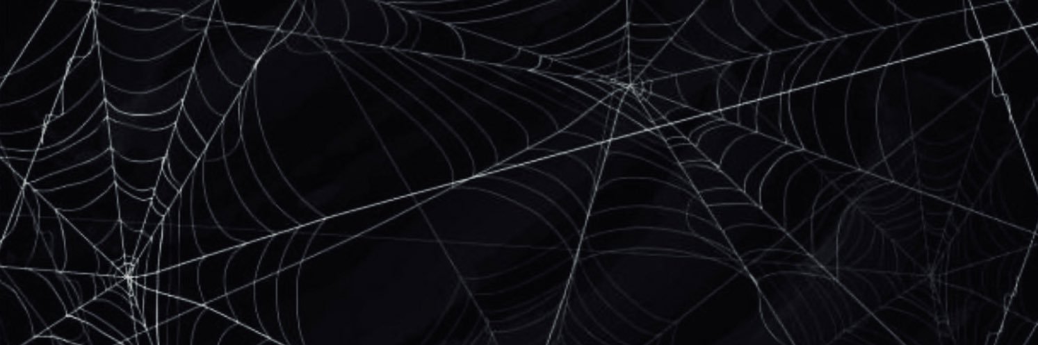 cat 🕸️'s banner
