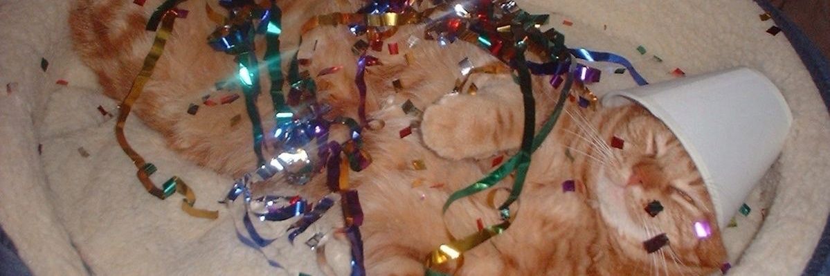 bckyswings's profile banner image