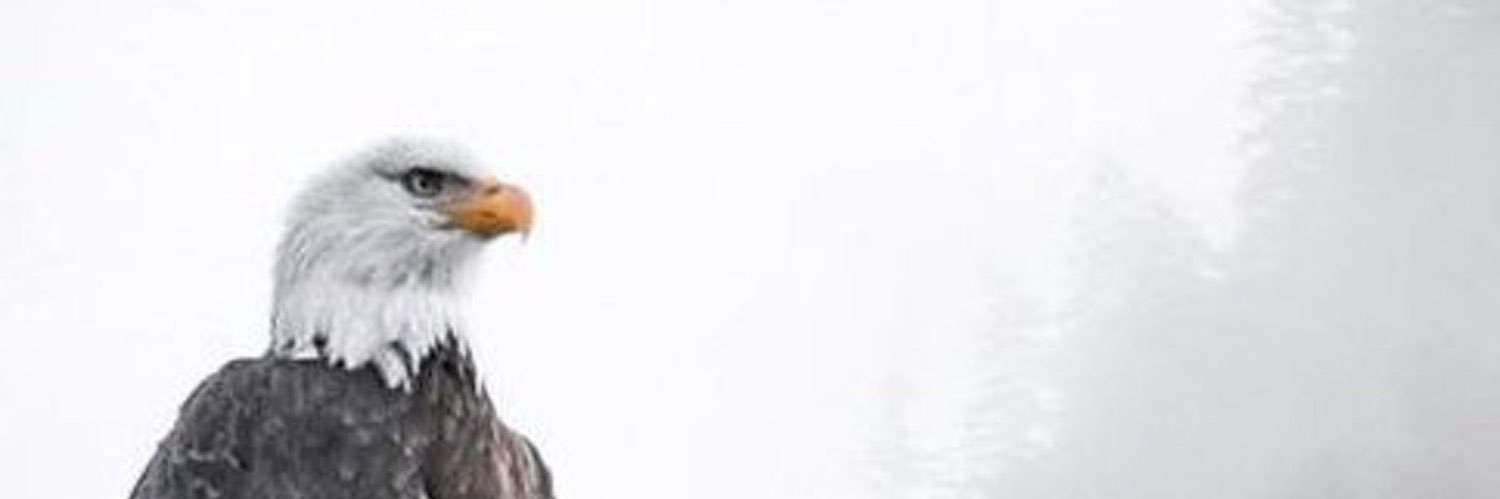 DrPaulCrites's profile banner image