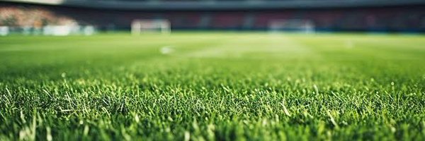 MarcaMexico_ Profile Banner