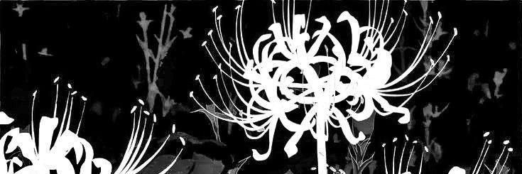 ∑ 𝓑𝓘𝓖𝓑𝓞𝓢𝓢 banner