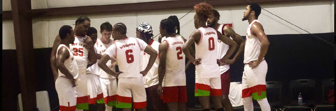 SC Let It Fly Webdogs banner