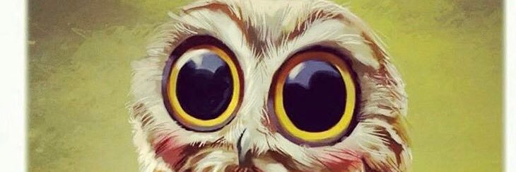 mrs_ojackal's profile banner image