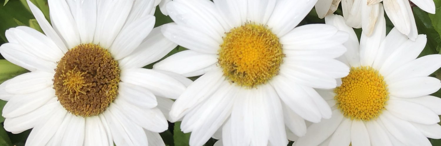 macygmoore's profile banner image