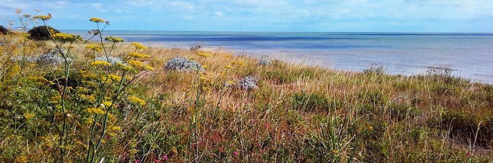 Sarah Lazenby banner