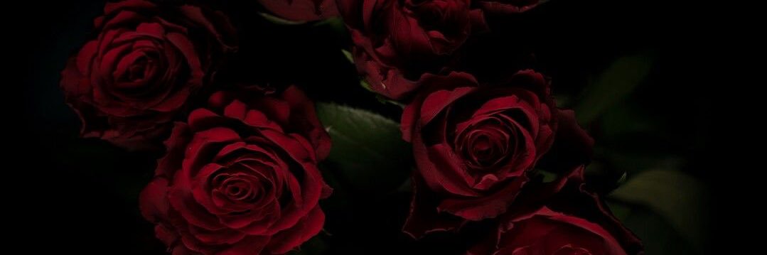 EllisonAlexis17's profile banner image