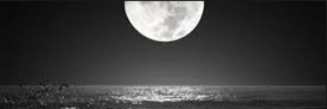 elham9991's profile banner image