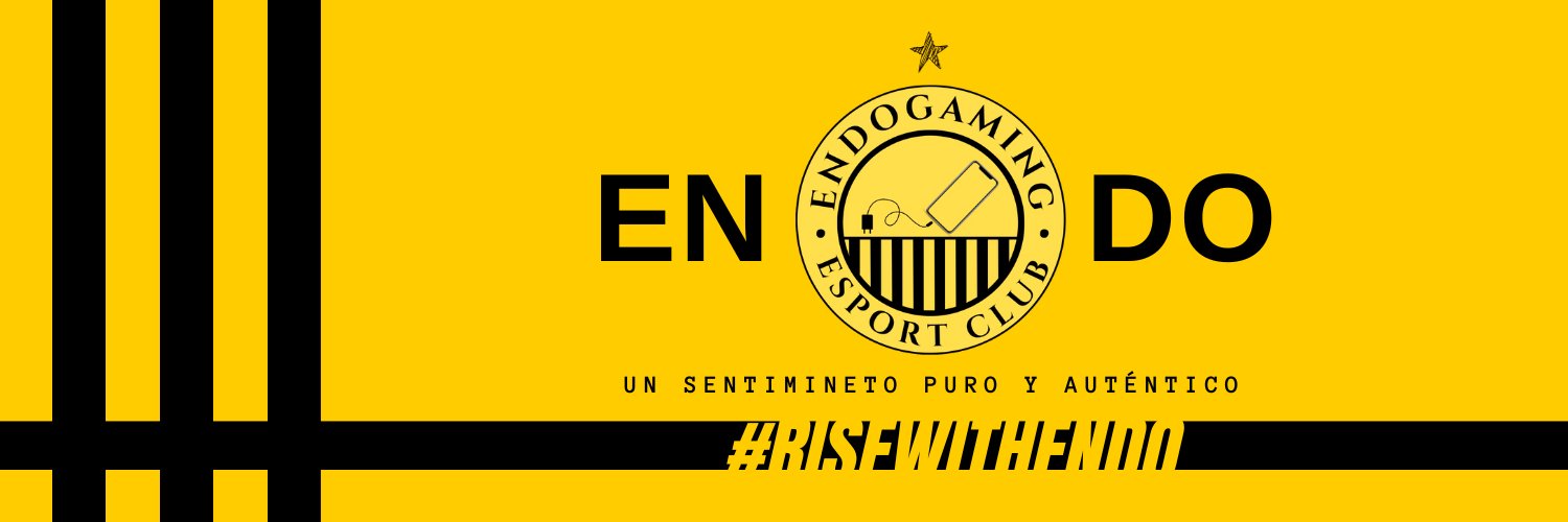 Endo Gaming banner