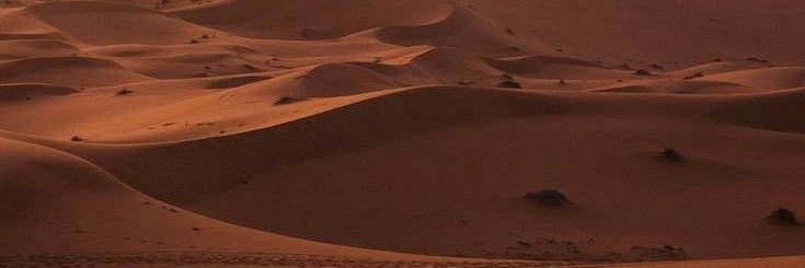 طلال القحطاني's banner