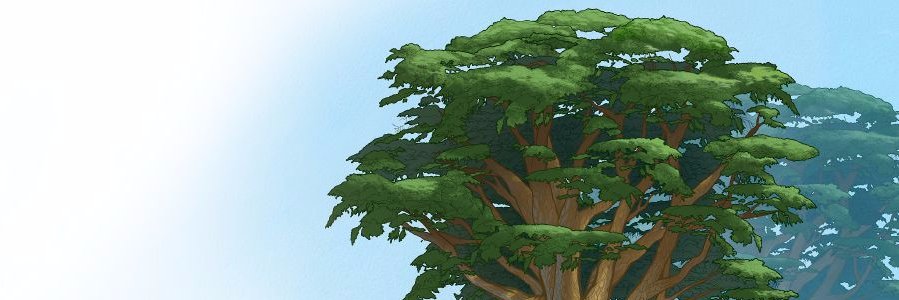 valopezm's profile banner image