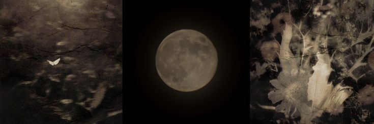 Kiareh. banner