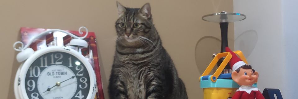 LANXOO's profile banner image