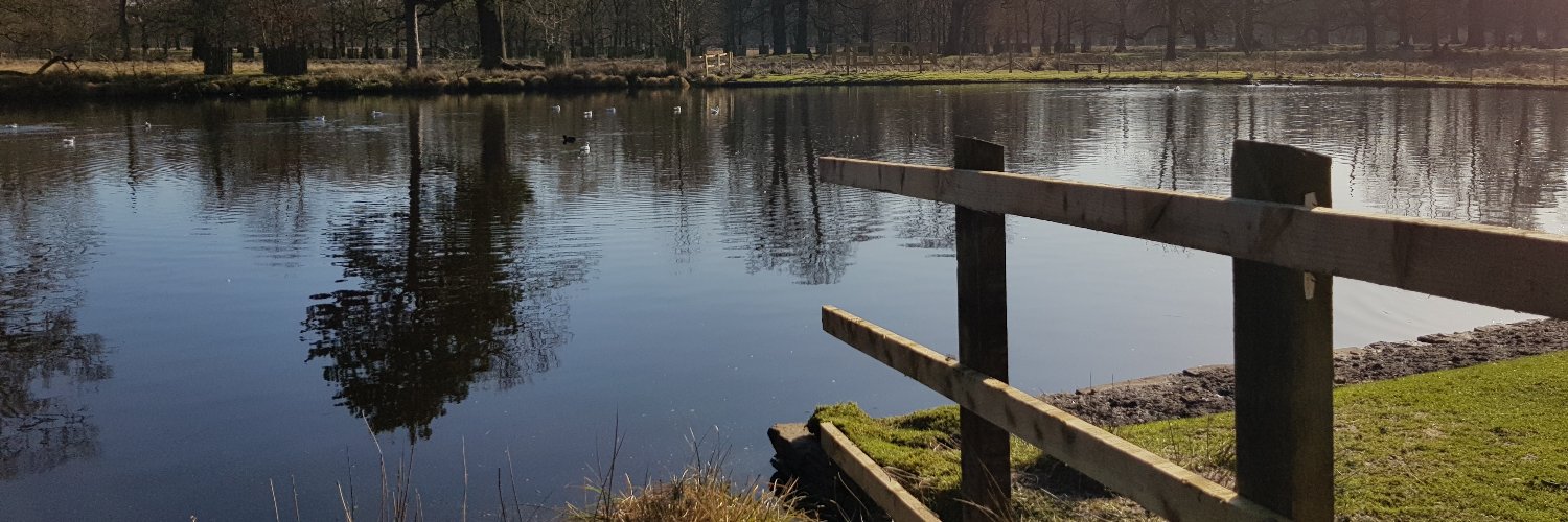 akheel sͩyͬed banner