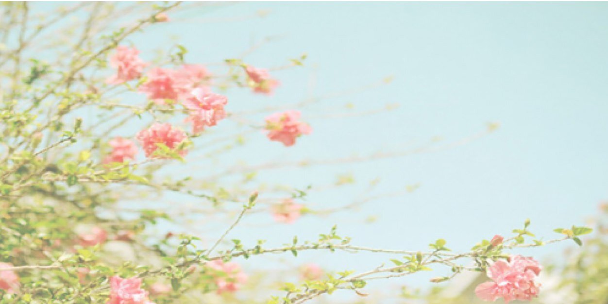 AvaPickton's profile banner image
