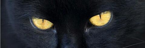 monyk1962's profile banner image