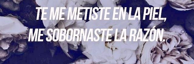 Teffy🌻 banner