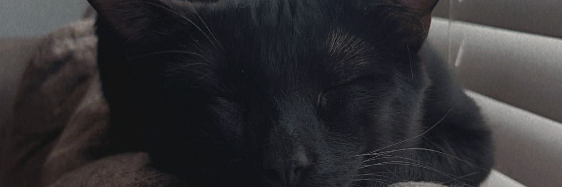 angelbernicee_'s profile banner image