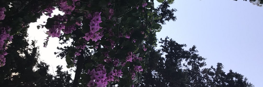 _wmso_'s profile banner image