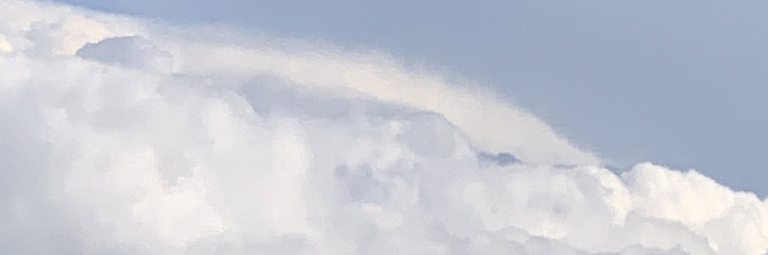 mikkithadawn's profile banner image