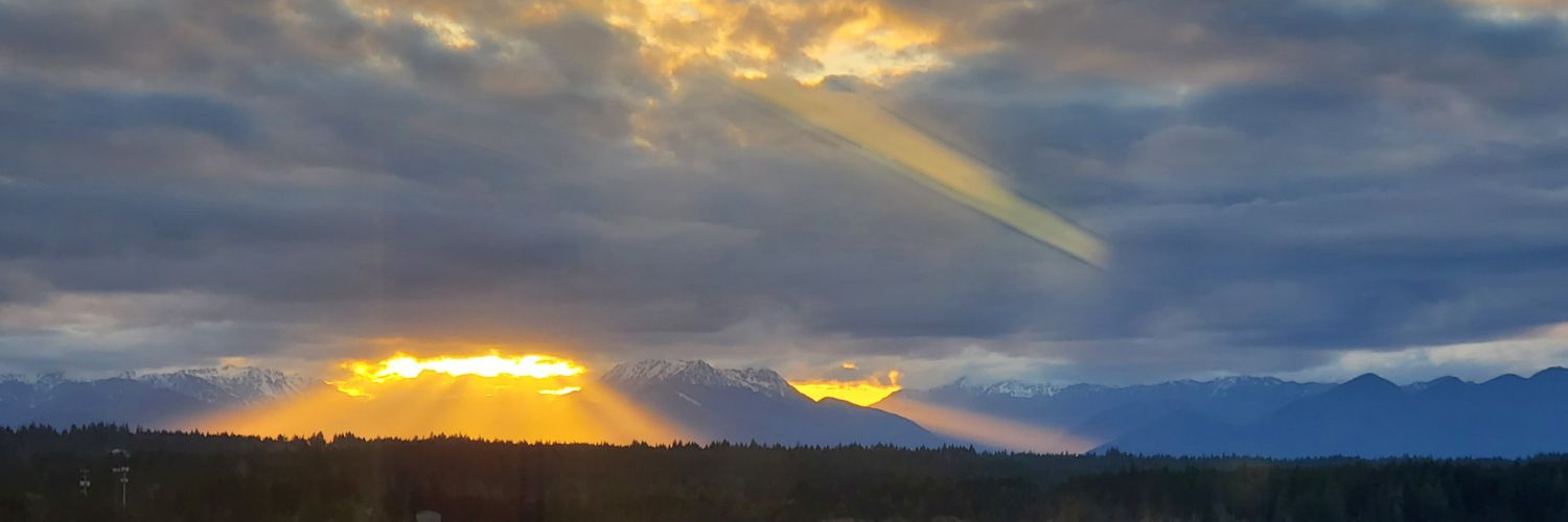 mtgriz01's profile banner image