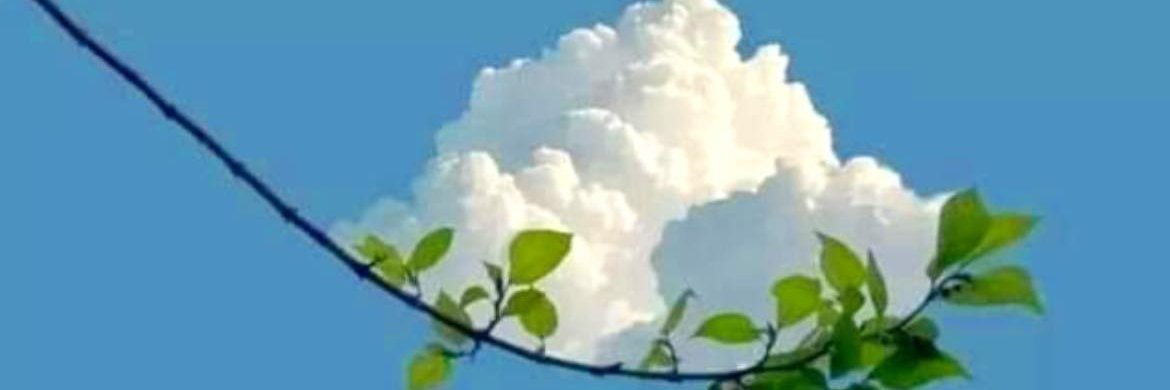 laossy902's profile banner image
