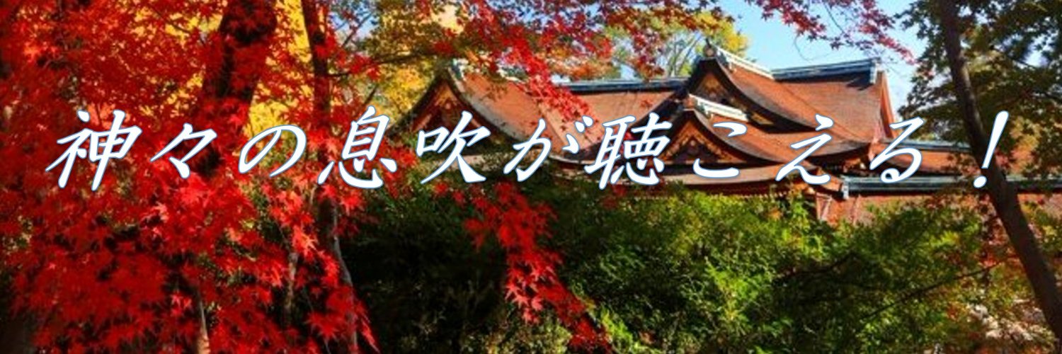 roud_trip's profile banner image