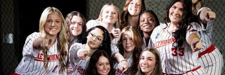 ASU Mid-South Softball banner
