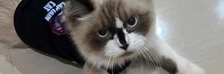 dlazhr.♡ 🦋 banner