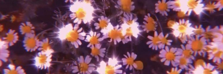 belenvidalok's profile banner image