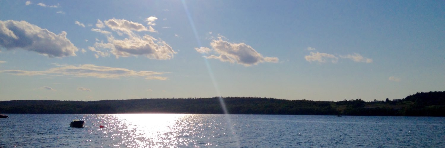 dmanthony's profile banner image