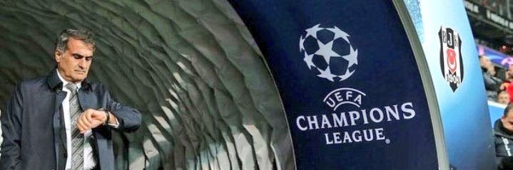 torrettozi's profile banner image